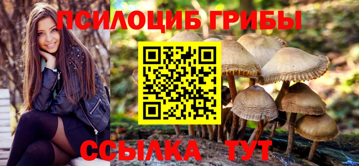 Псилоцибиновые грибы прущие грибы Чернушка